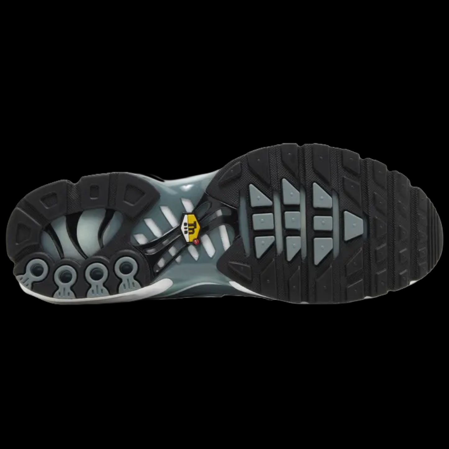 Air Max Plus 'Palm Pack - Waterway'