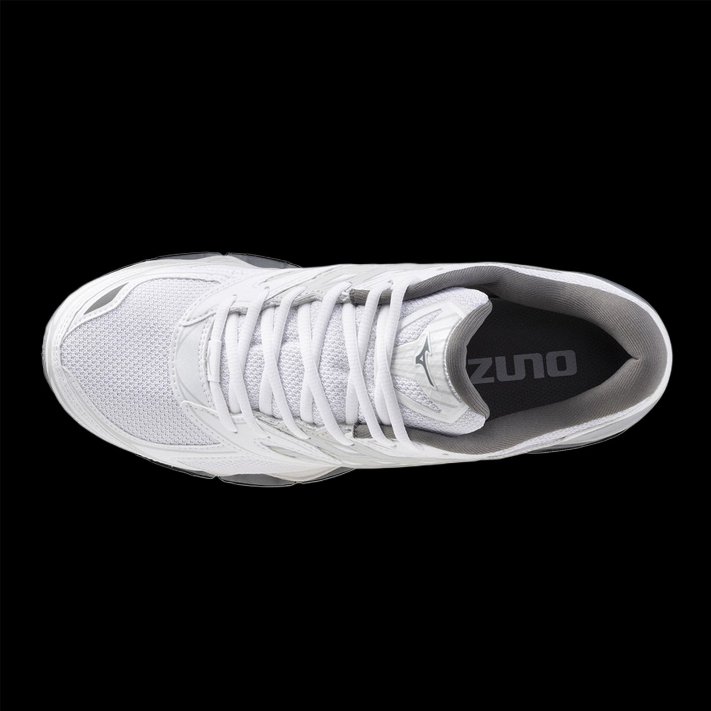 Mizuno wave prophecy LS 'White'
