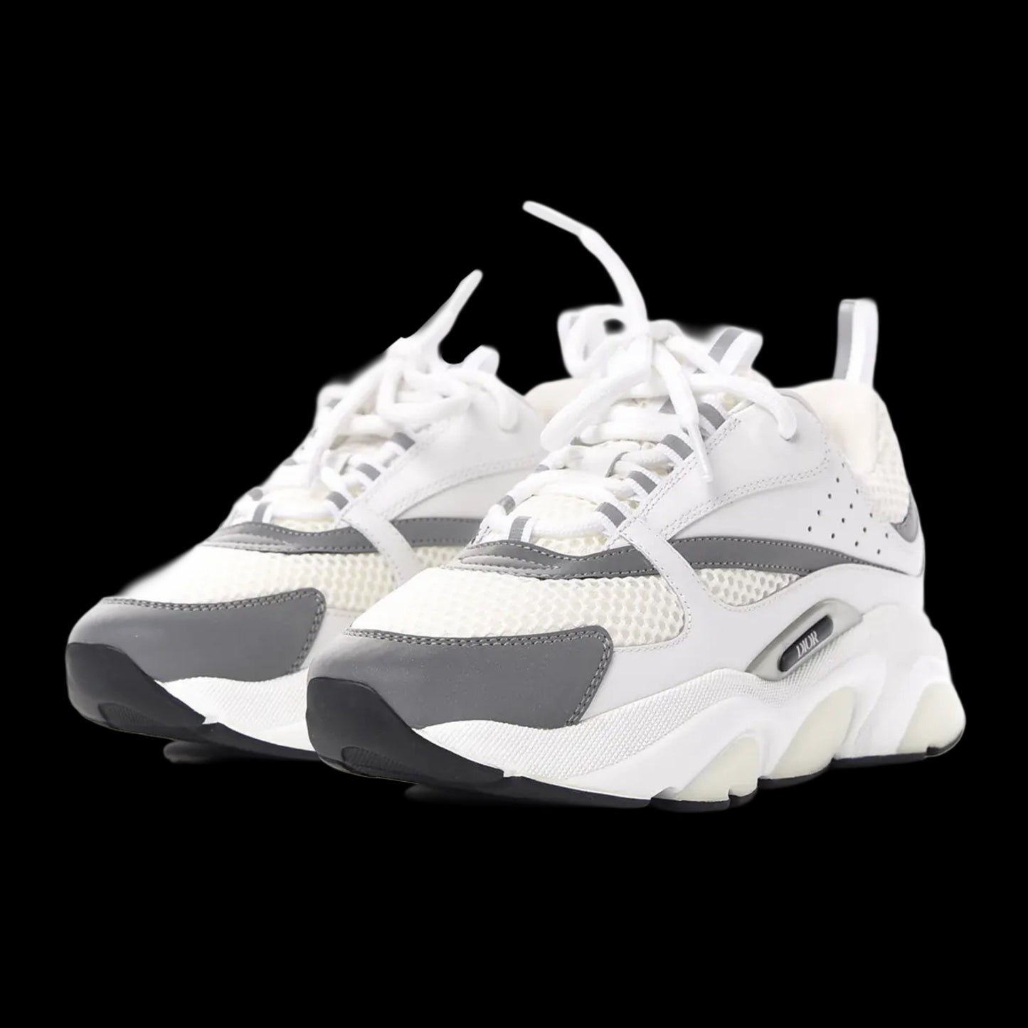 Dior B22 'White Grey'