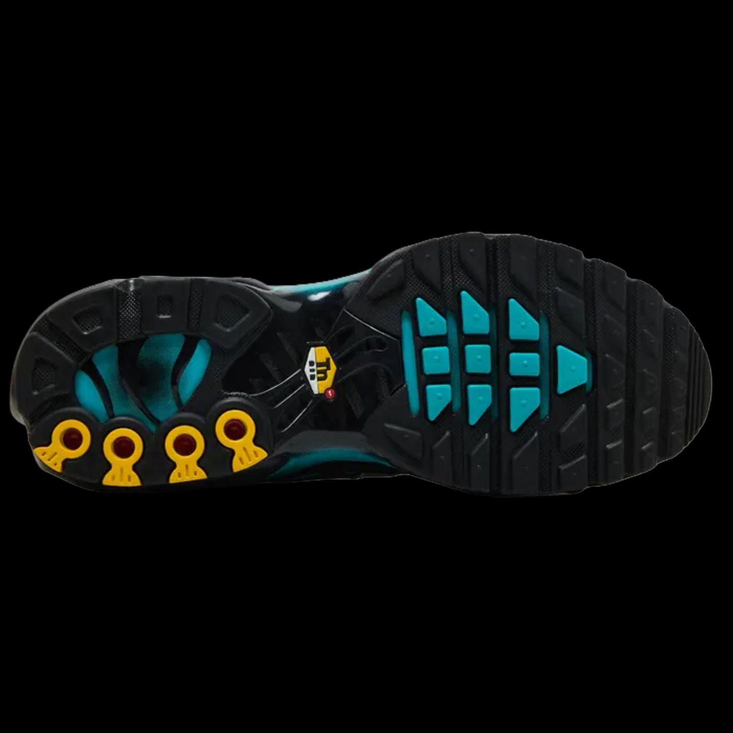 Air Max Plus 'Black Dusty Cactus'