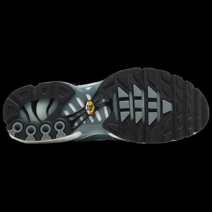 Air Max Plus 'Palm Pack - Waterway'
