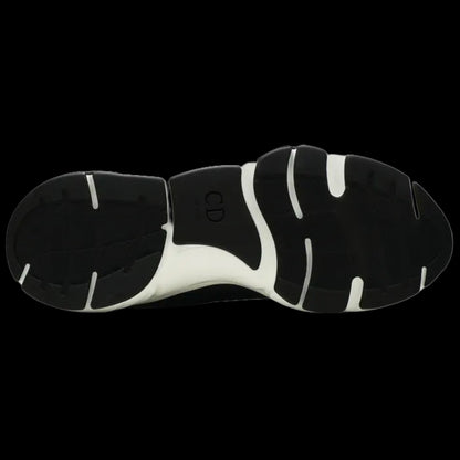 Dior B22 'Black White'
