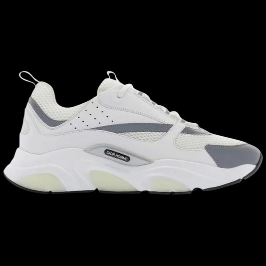 Dior B22 'White Grey'