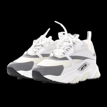 Dior B22 'White Grey'